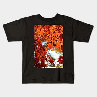 Autumn Colours 6 Kids T-Shirt